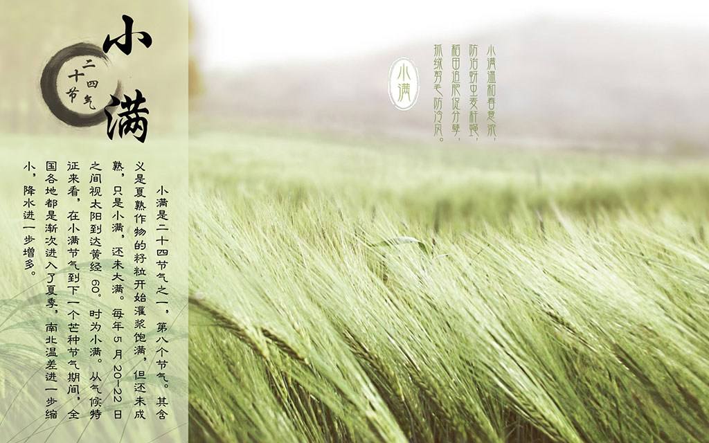 行星減速機廠家話小滿